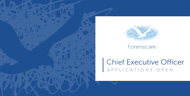 Chief Executive Officer advertisement.